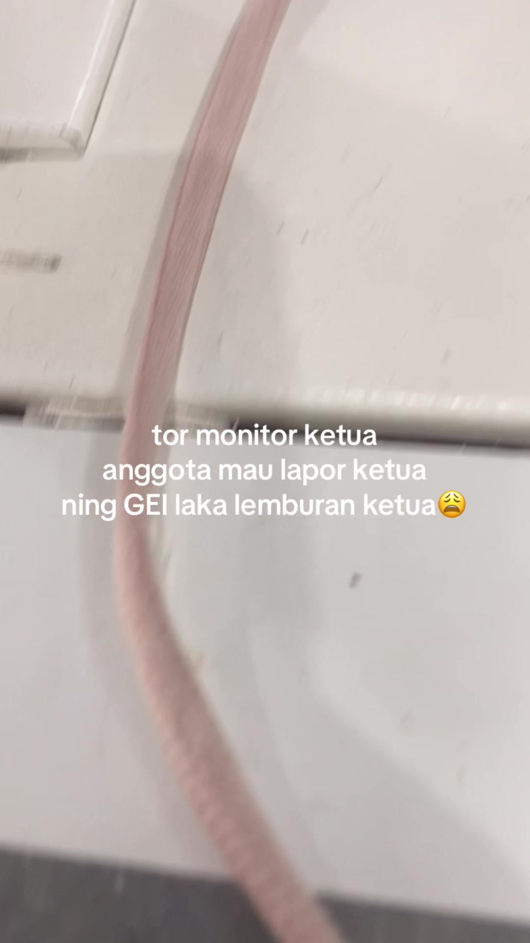 @mba winda🍄