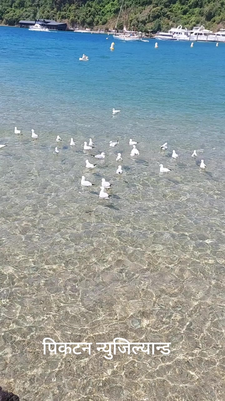 @Manisha 33:33