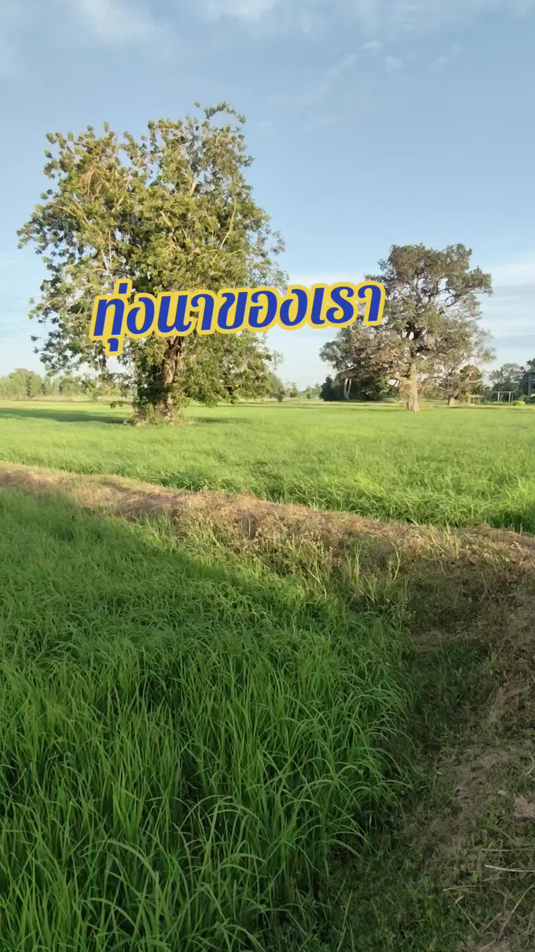 @วัยรุ่นหลังคาเหล็ก👨&zwj;👩&zwj;👧&zwj;👧