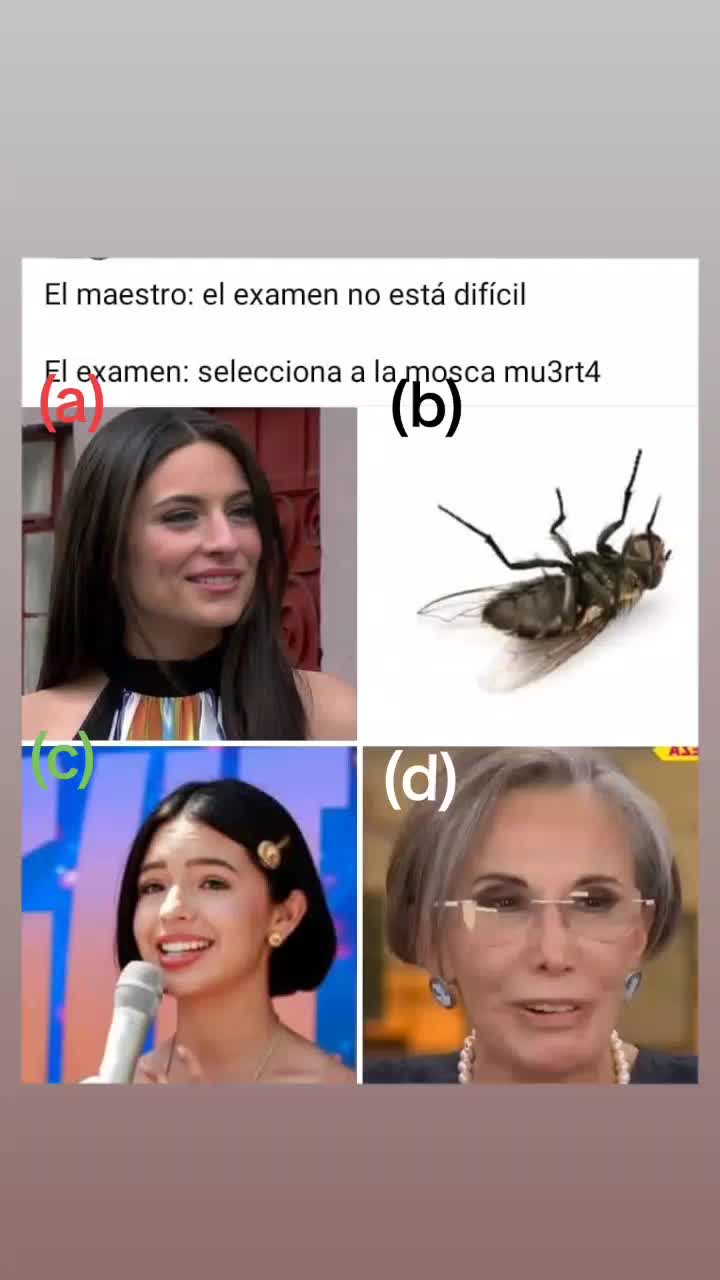 @marflowwwww