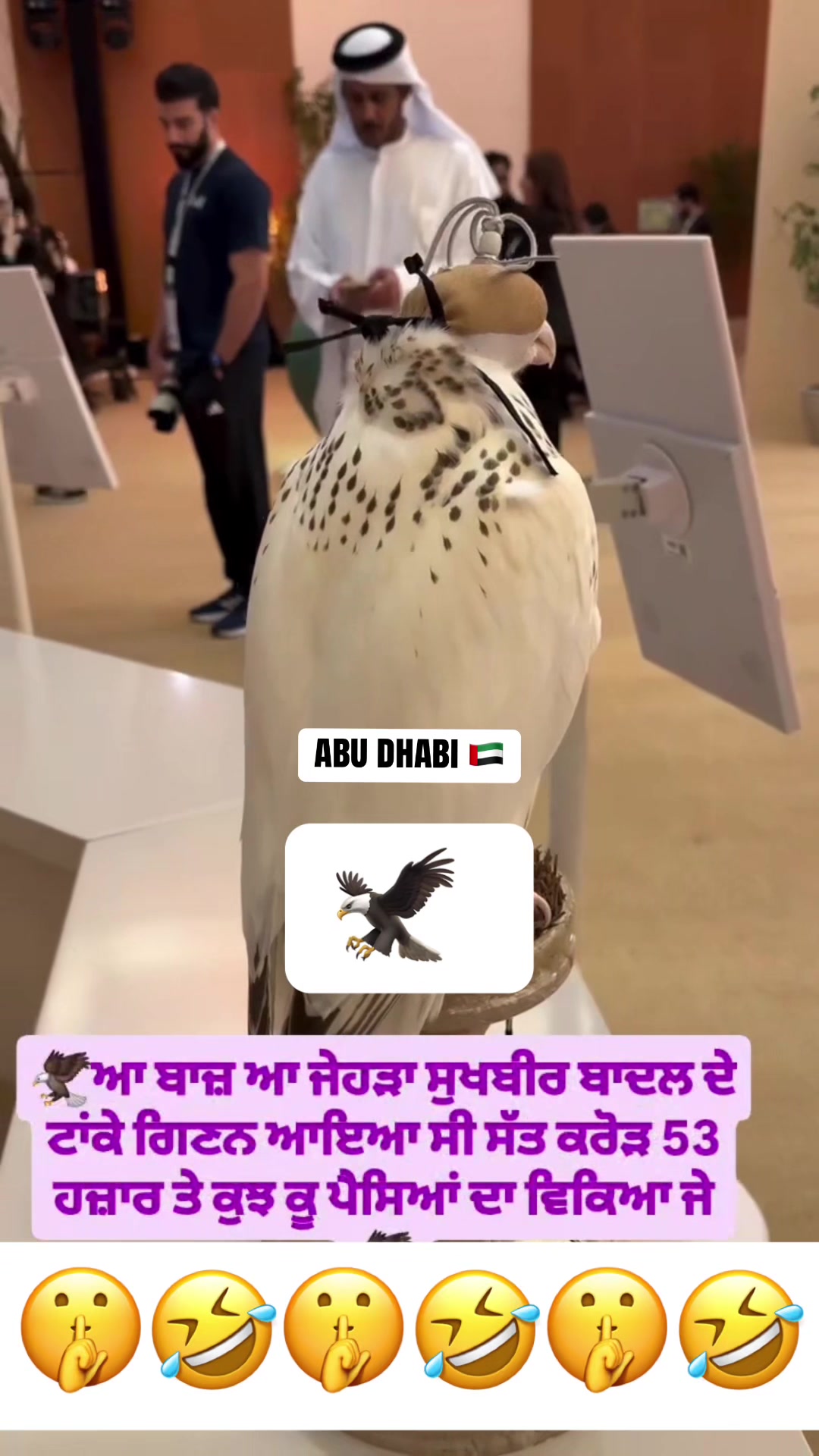 @👑 ʜᴜɴᴛᴀʀ ᴜꜱᴀ 🇺🇸 🦅