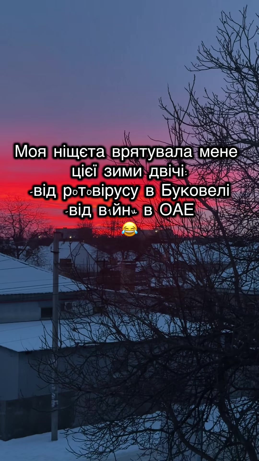 @yliavasilenko_