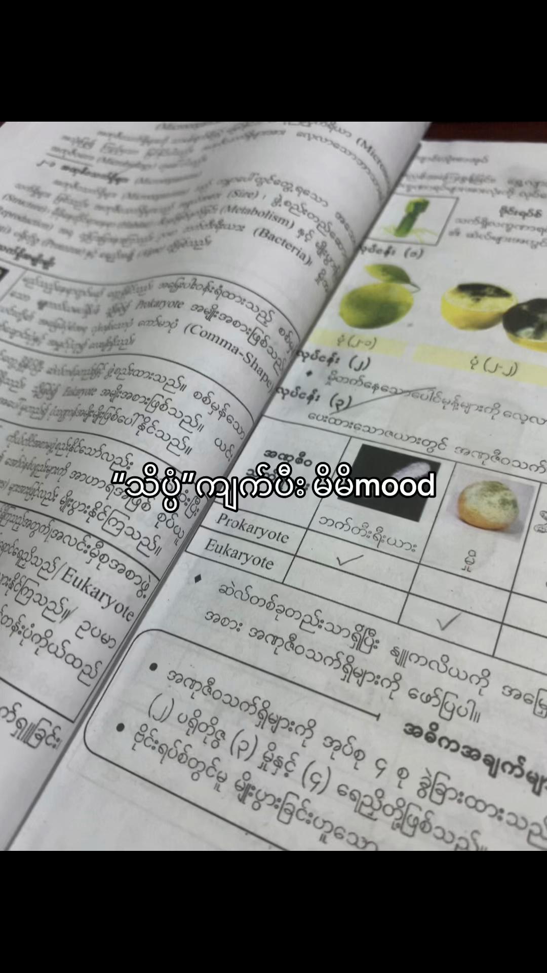 @ပြန်လာပေးပါ