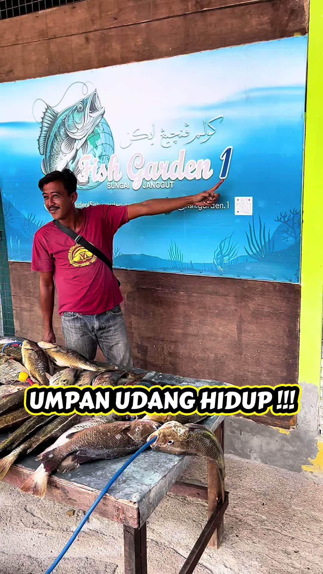 @M Z Reel 🎣
