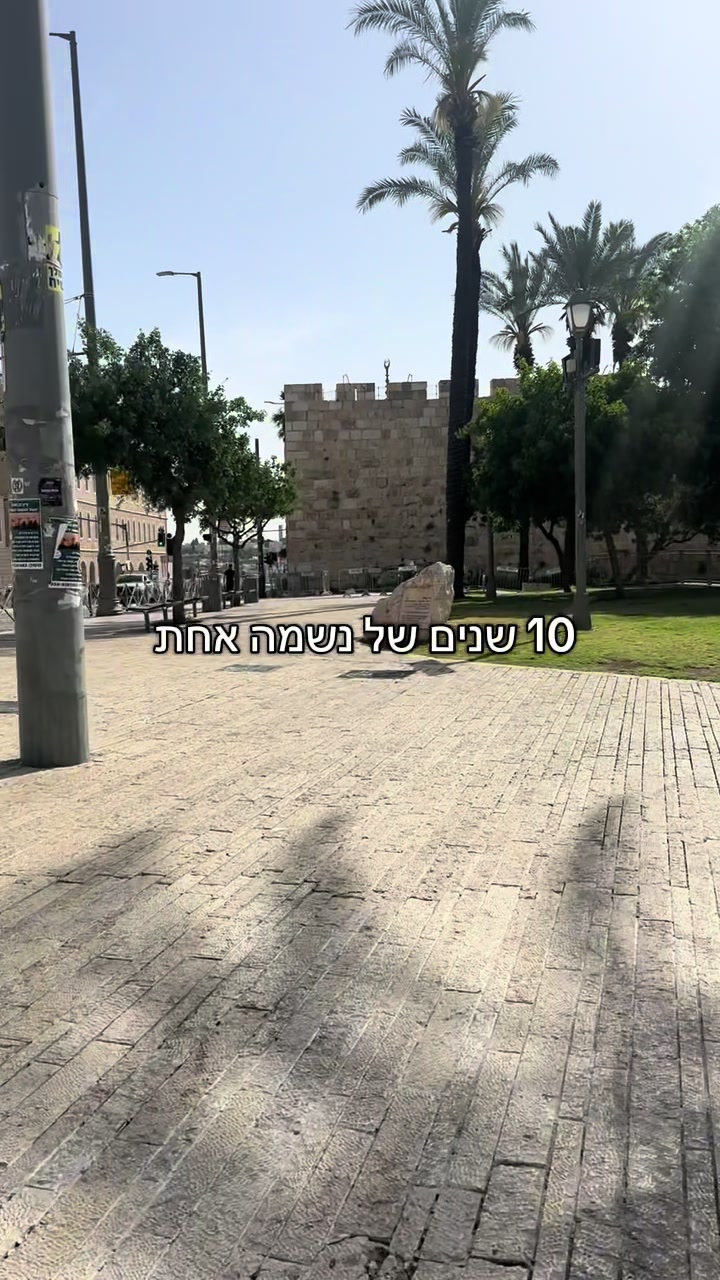 @Avia Elimelech Mizra