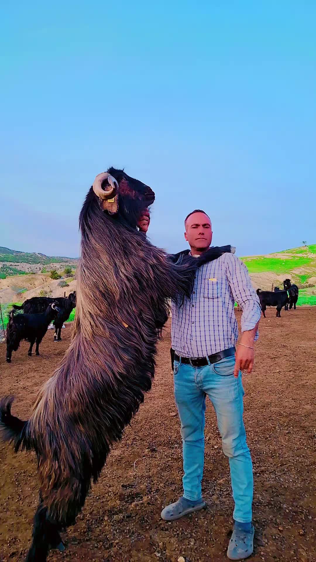 @Y&ouml;r&uuml;koğlu Yaşar 20