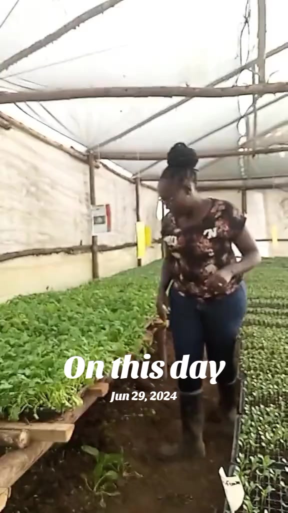 @wambuku thefarm empress
