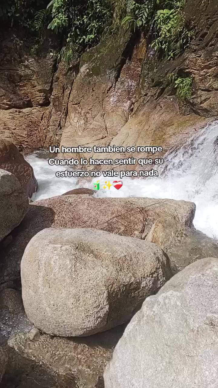 @Alexis Cortez🧃