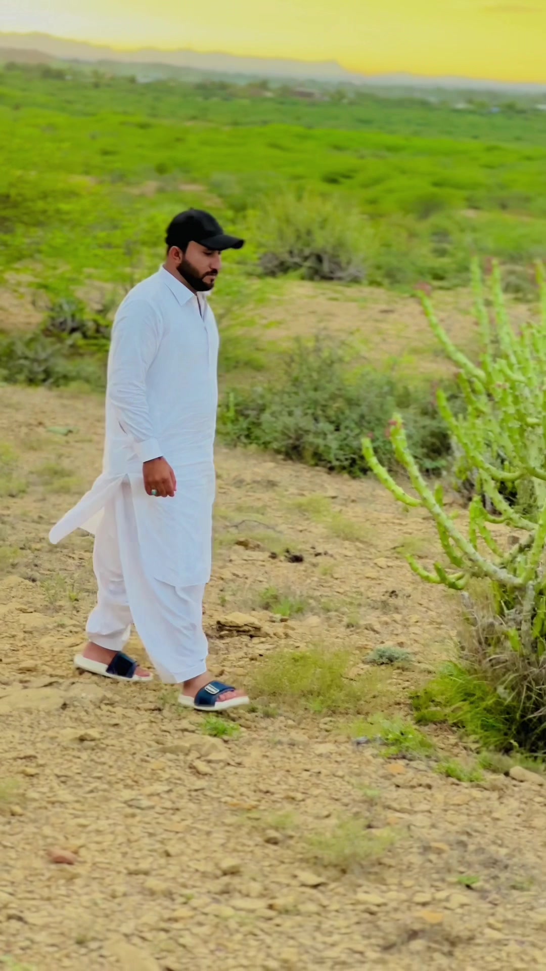 @ذیشان گبول