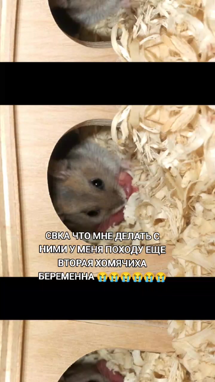 @Айси [🧊]