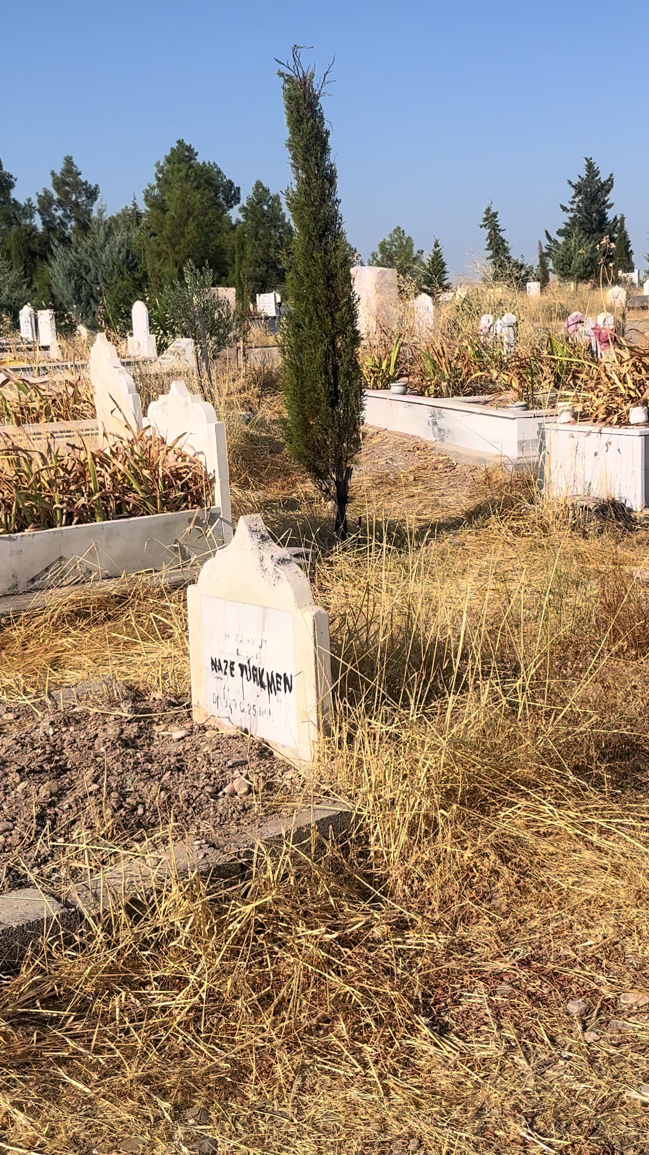 @Türkan