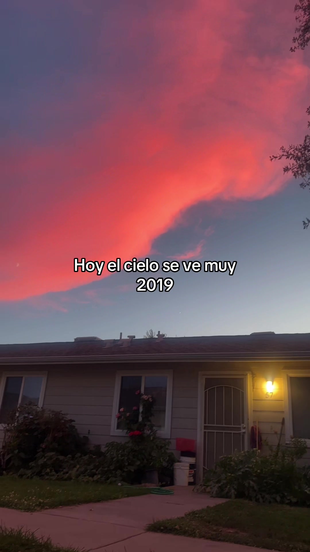 @Micky