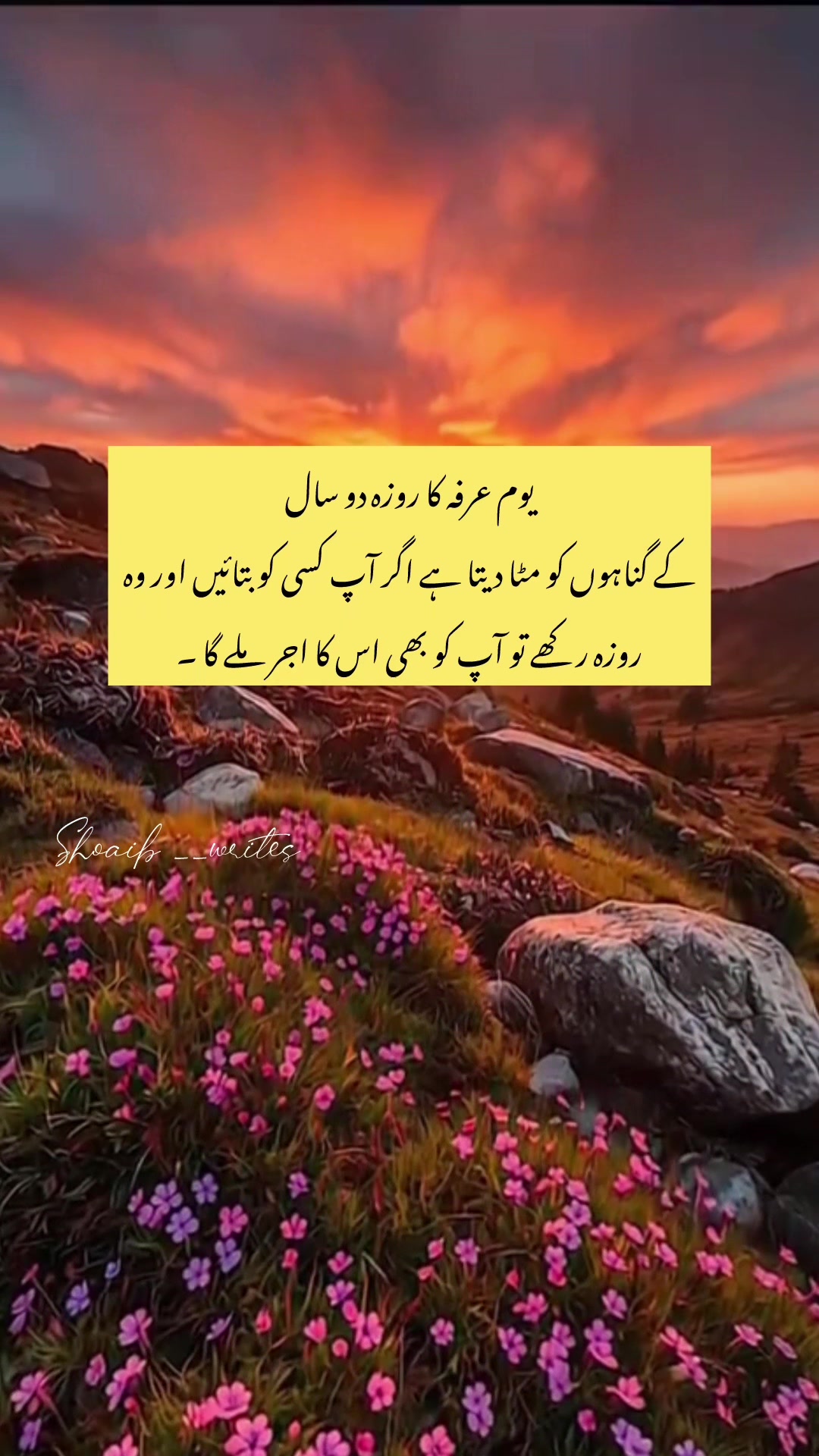 @Official__Account