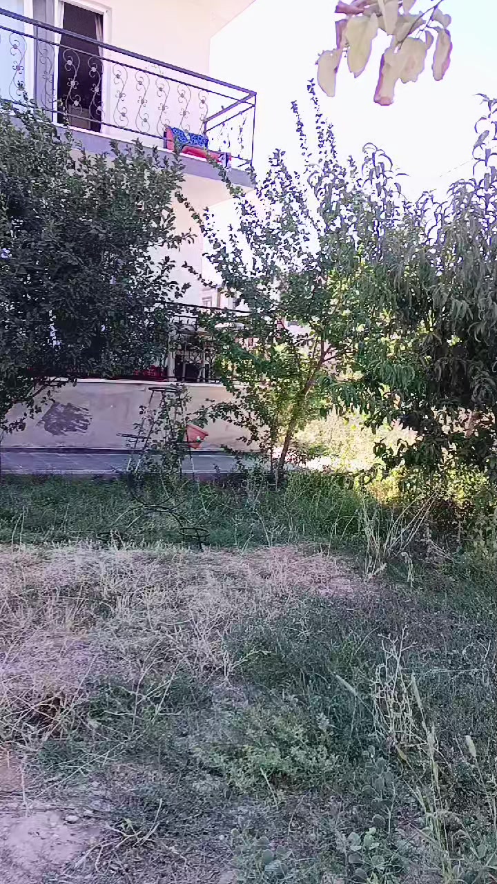 @hasretimsin