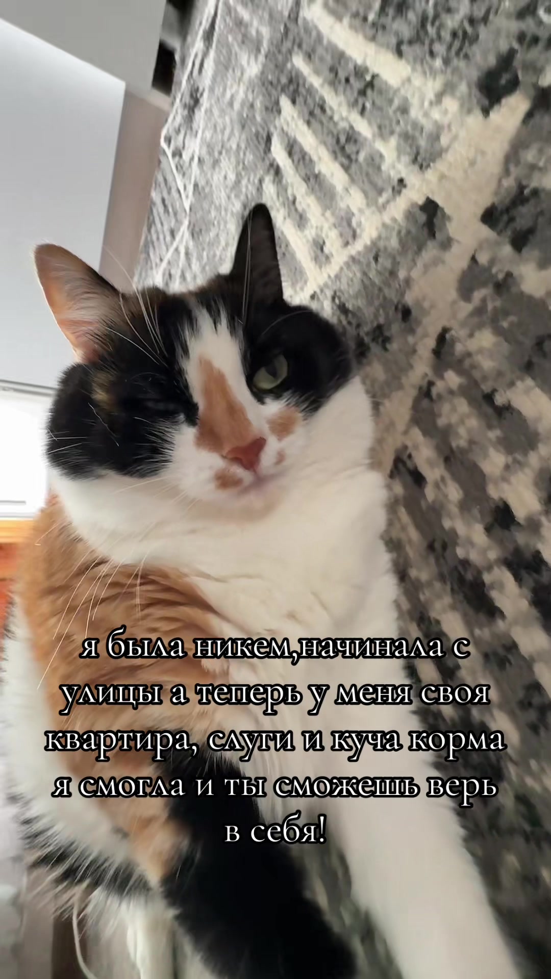 @Aigelka❤️🩹🫀