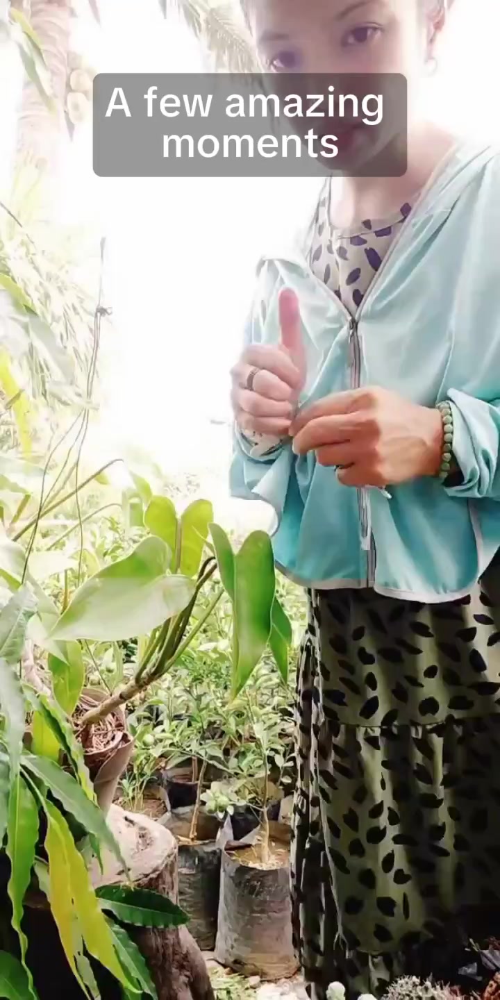 @mhie_nie gorgeous plantita