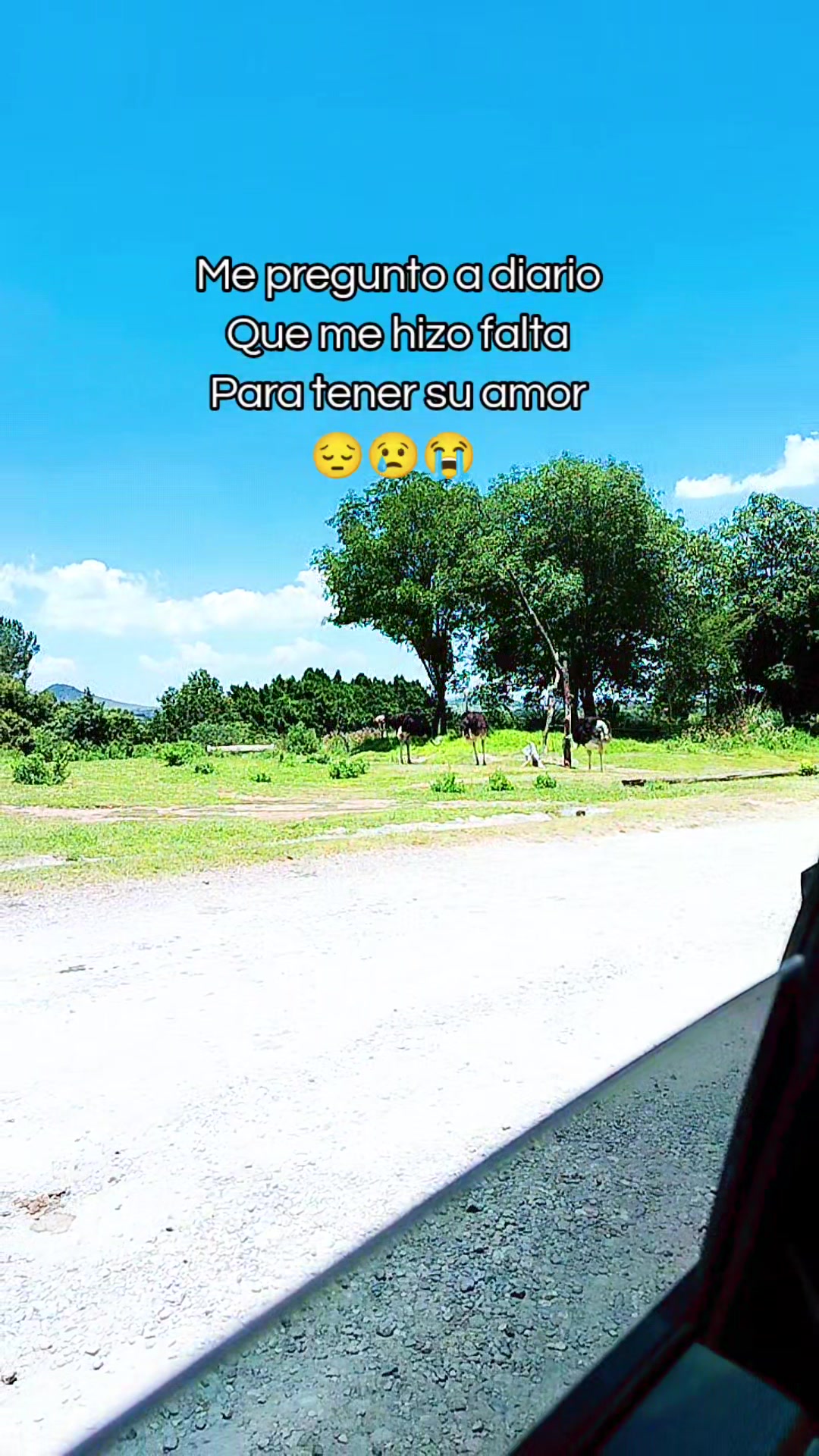 @gabyfuentes337