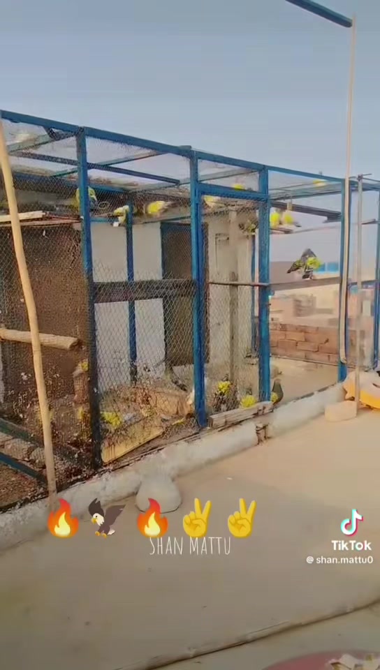 @Golu😈😎