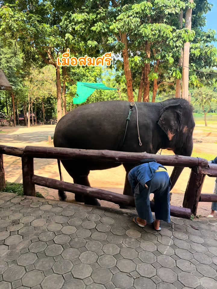 @Qvy Boonchanawiwat