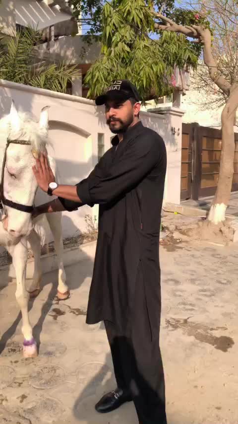 @Omer Qureshi