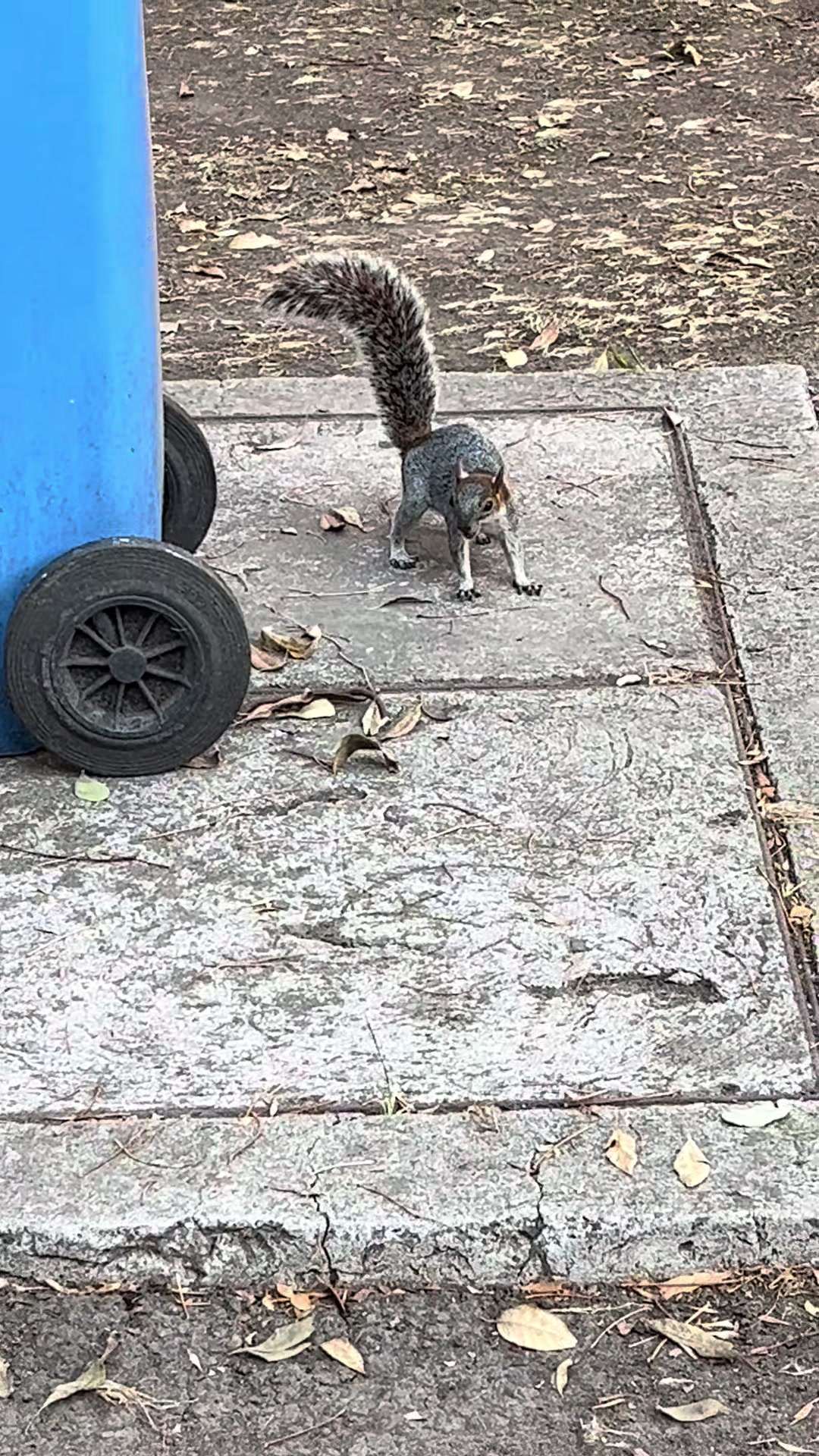 @Alma González