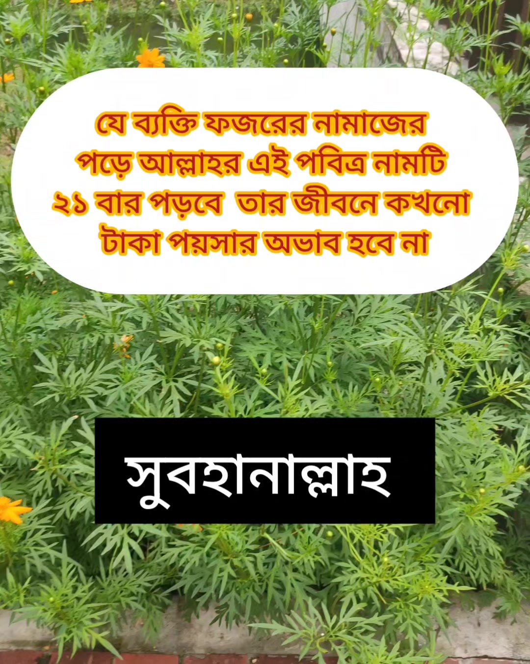@cuisine_house