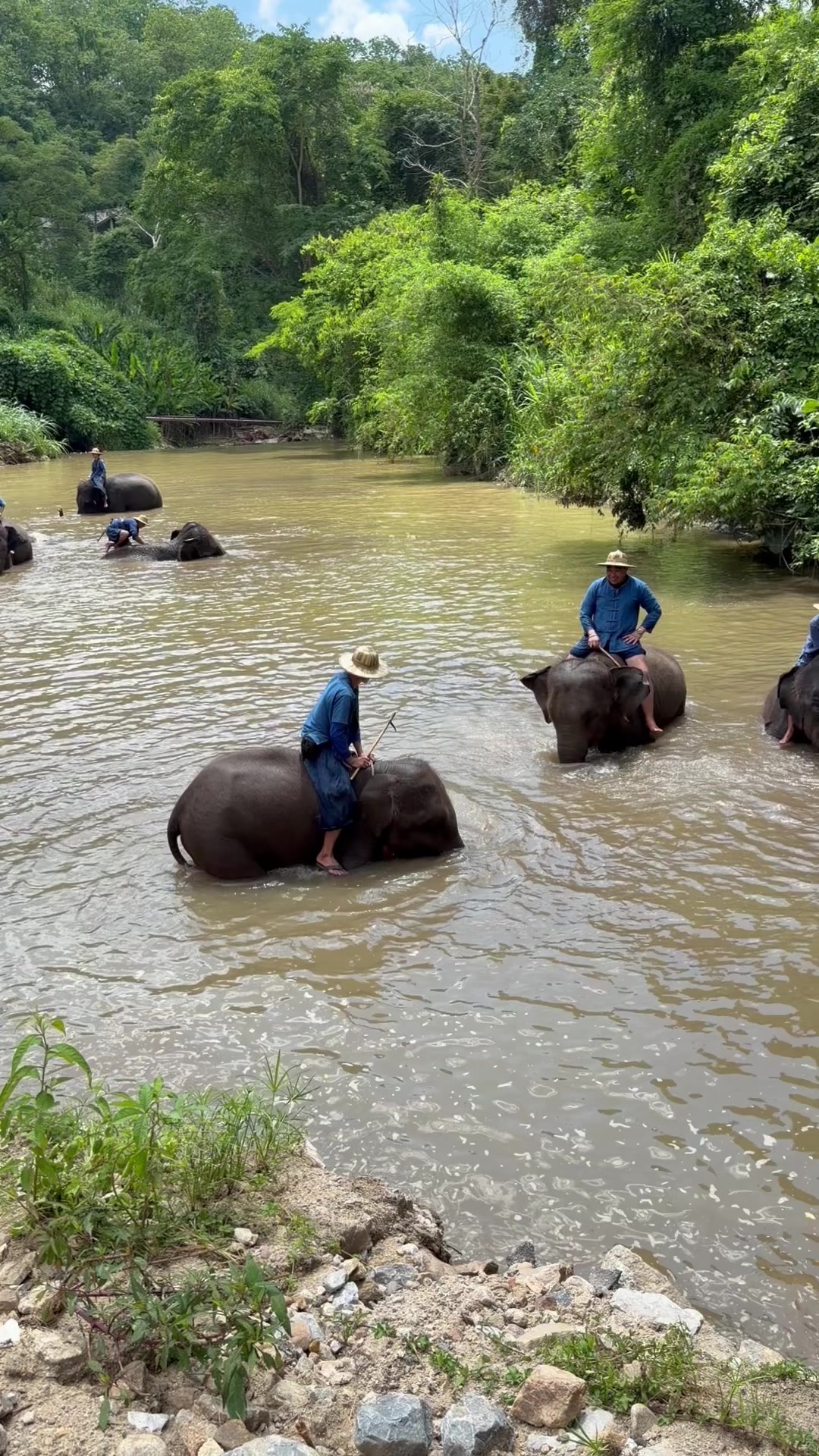 @Qvy Boonchanawiwat