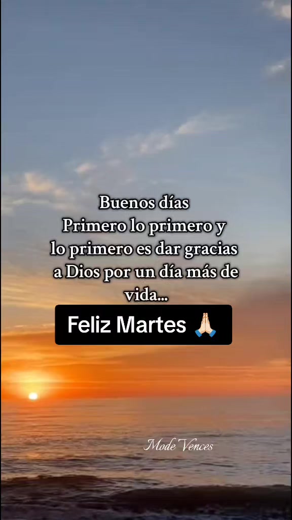 @Mode Vences