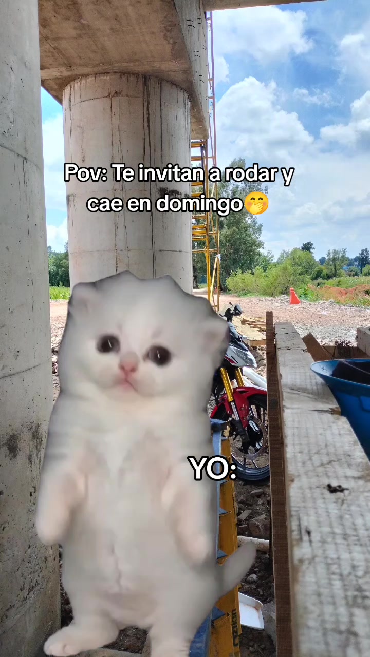 @Chucho Ponce