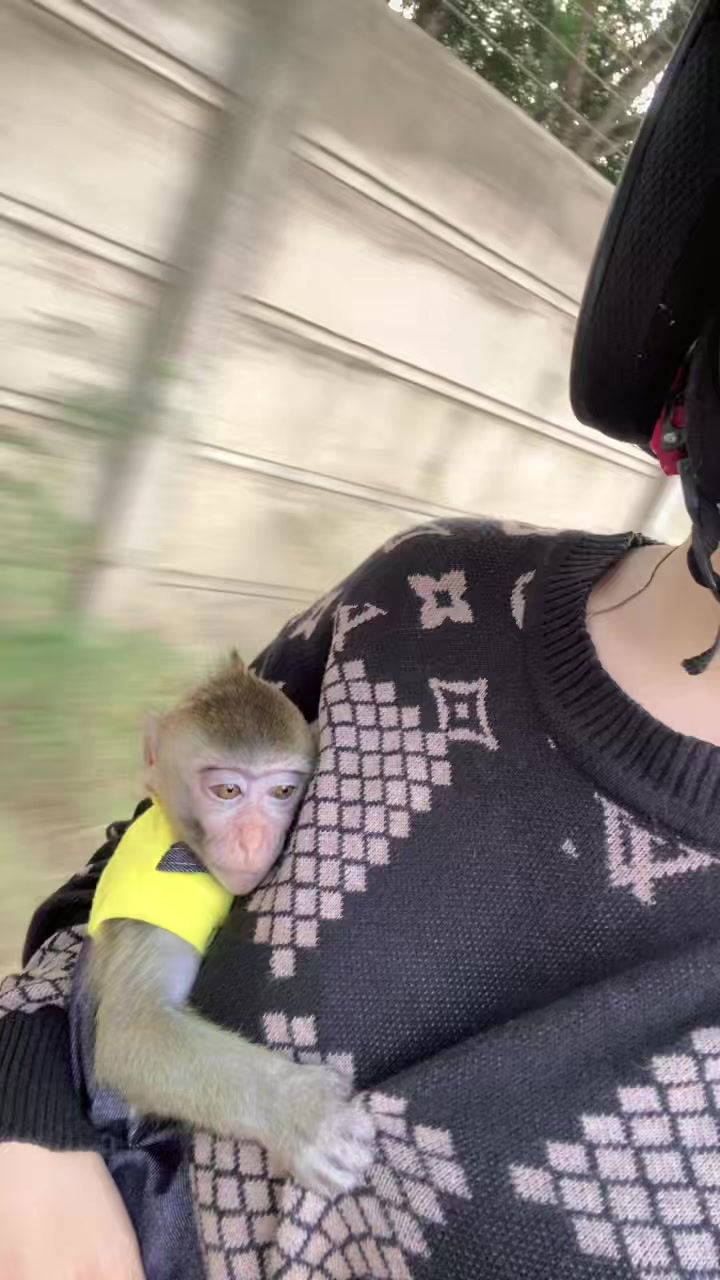 @Michelle🐒