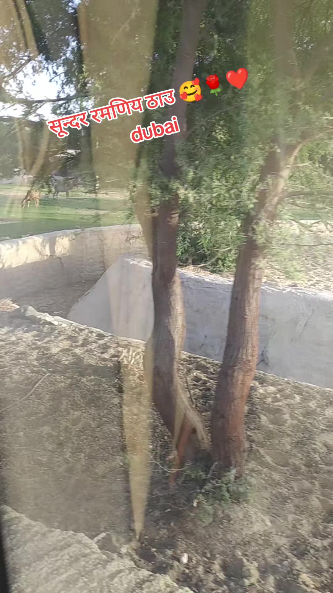 @Tejas&hearts;️Milan😍Khadayat🇦🇪