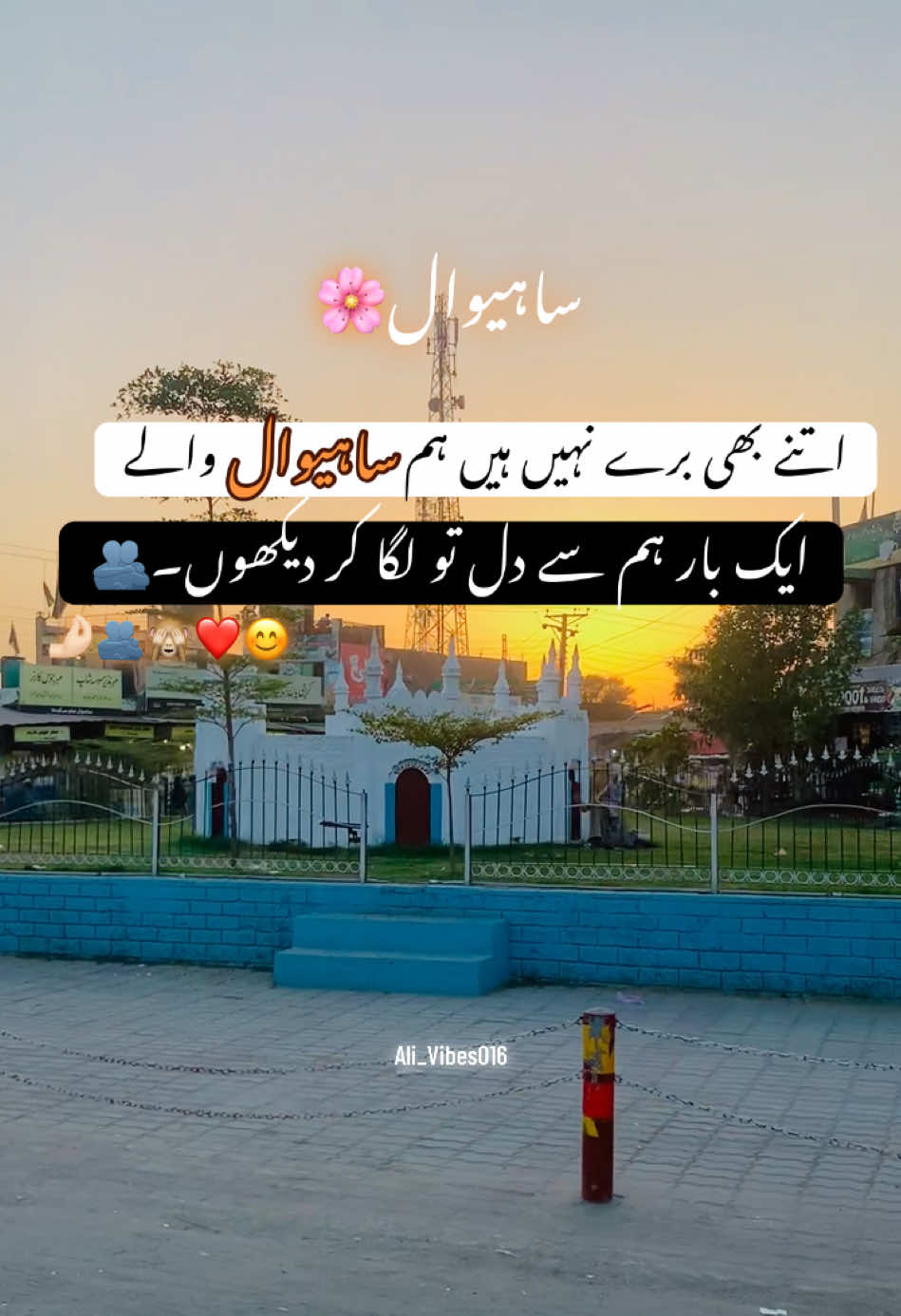 @Ali_Vibes016