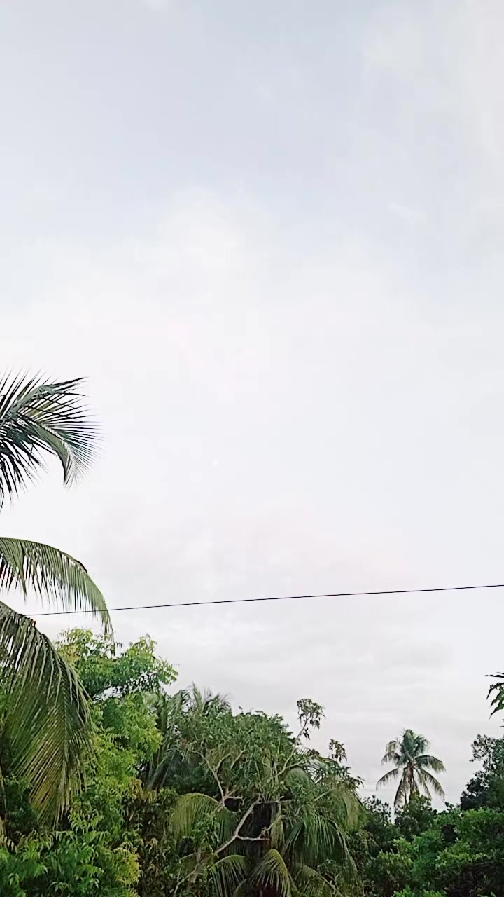 @đ§đŠāĻĒā§āϰāĻŋāϝāĻŧ āĻŦāĻŋāĻā§āϰāĻŽāĻĒā§āϰ, đ§đŠ