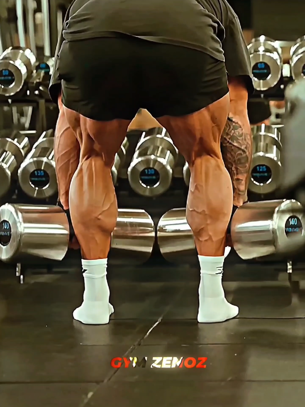 @Gym Zenoz