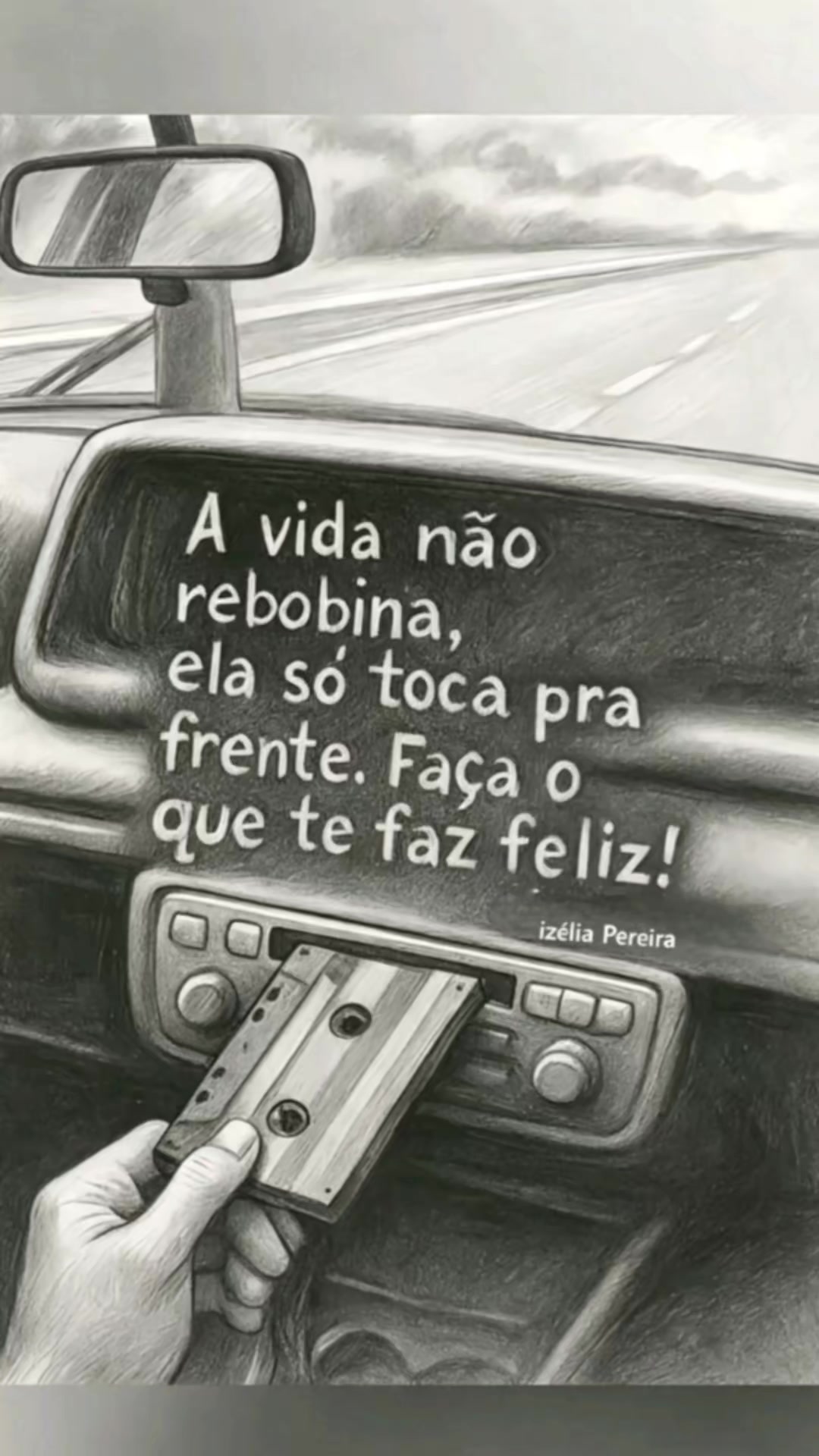 @Gaivota
