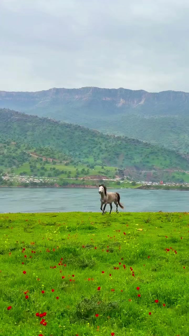 @Kaiwan Garmyani