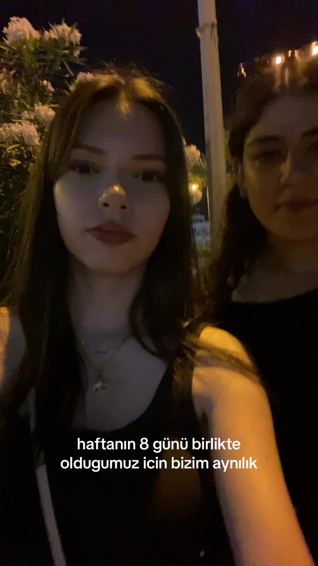 @dorduzteyzeleri