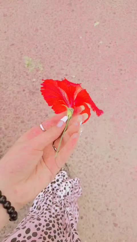 @✿ 𝒵𝑒𝒽𝓇𝒶 𝒥𝒶𝒻𝒻𝑒ℛ𝒾 ✿