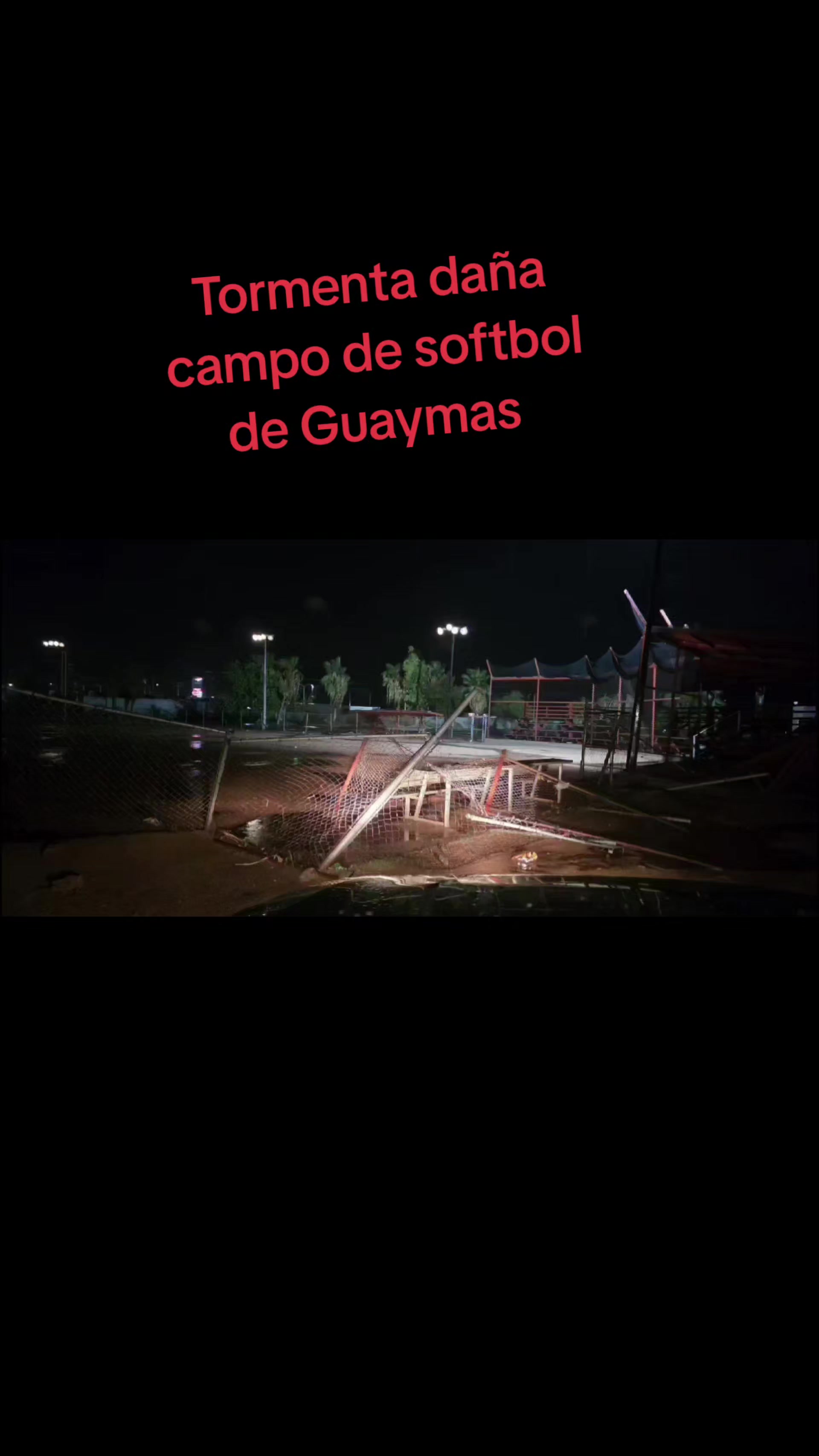 @elportaldelanoticia