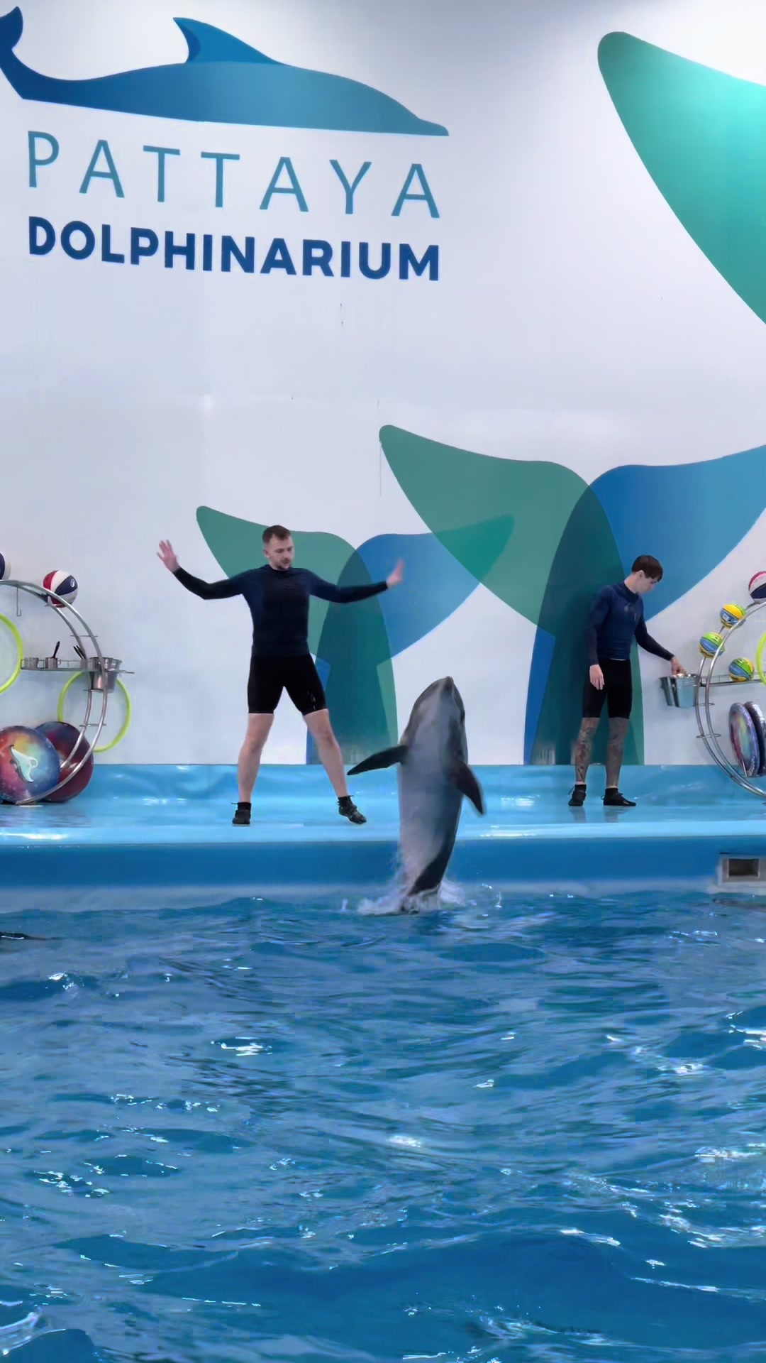 @Pattaya Dolphinarium