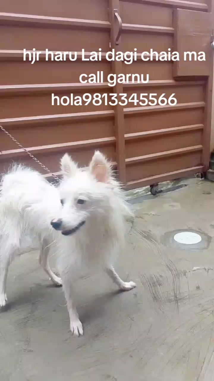 @samrila_