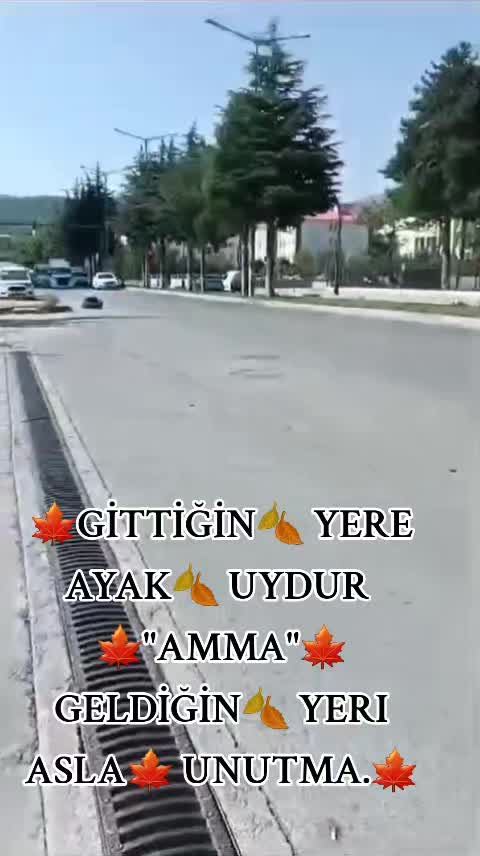 @sedat