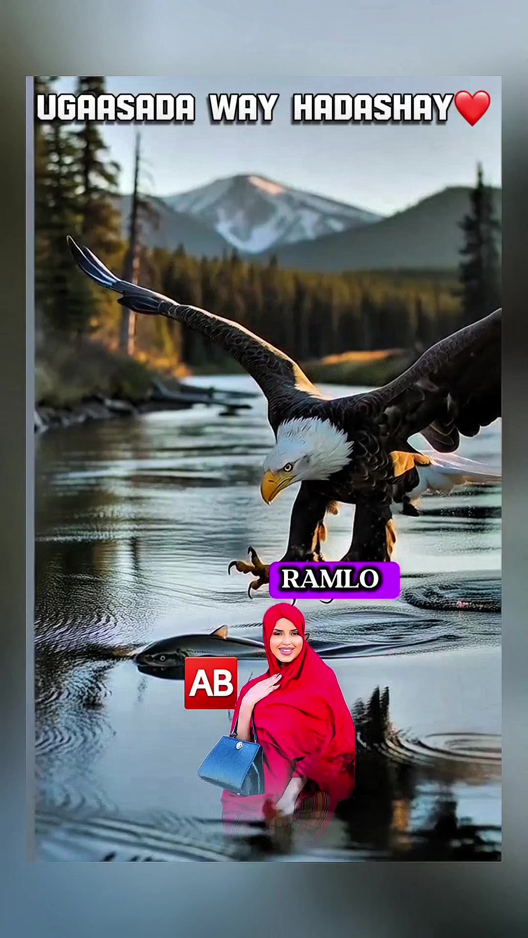 @༆𝐀𝐀𝐑𝐊𝐀 𝐆𝐄𝐃𝐎🇸🇴𓃵༆✪