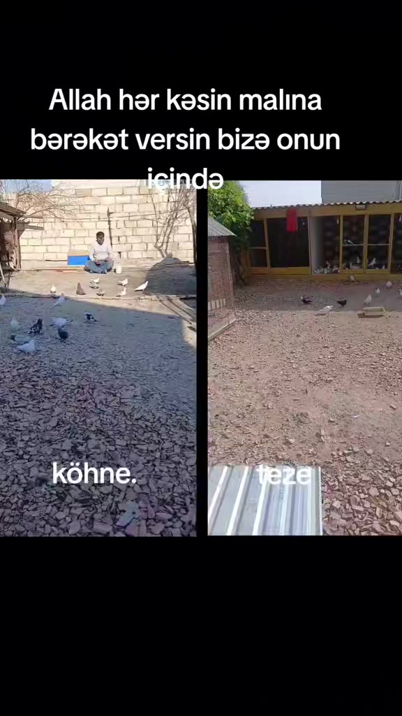 @Fəqamin.52