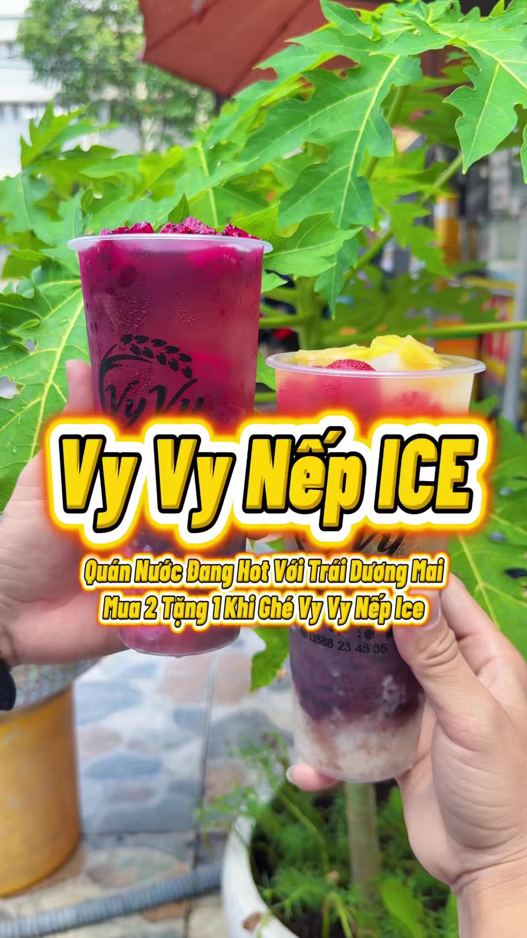 @R&Igrave; VIU B&Igrave;NH DƯƠNG