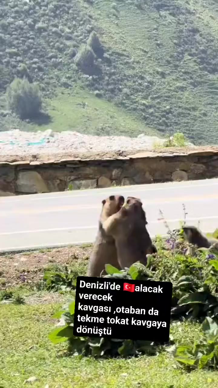 @Yusuf G&uuml;n493