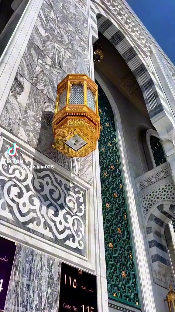 @M Shahid69533