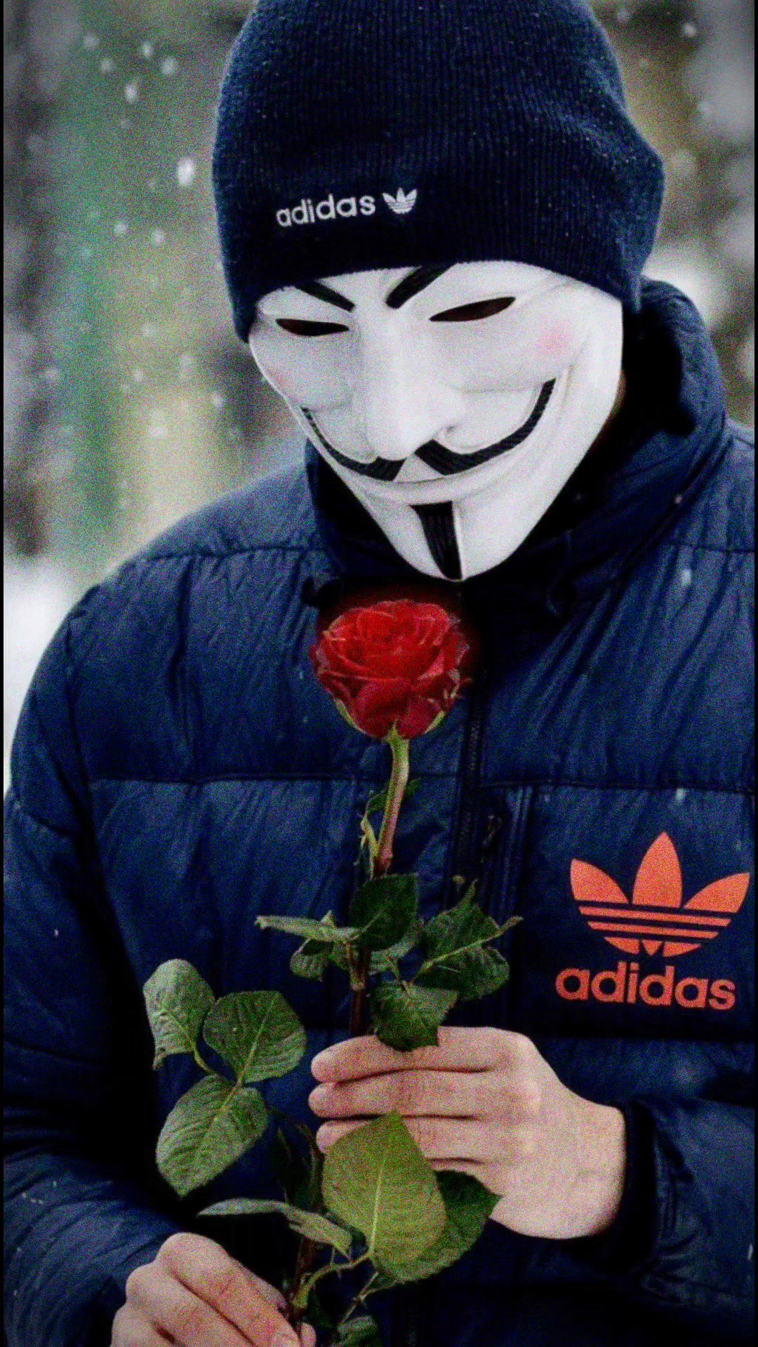 @Www.qwe