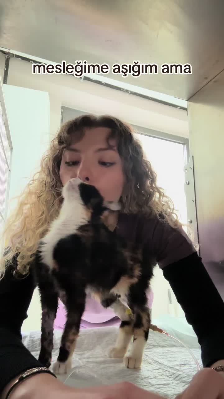 @vetbasakhealss