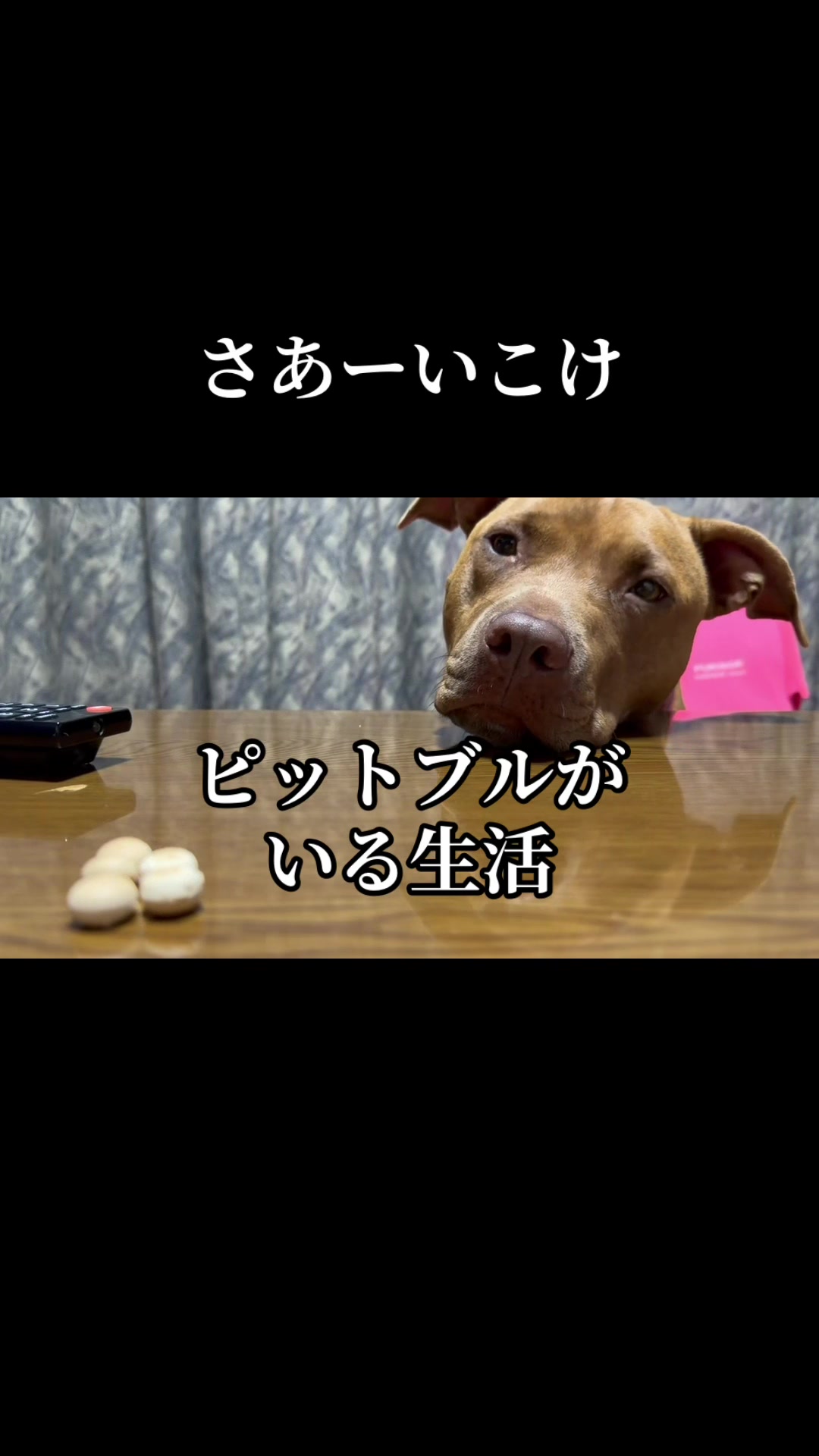 @トモ